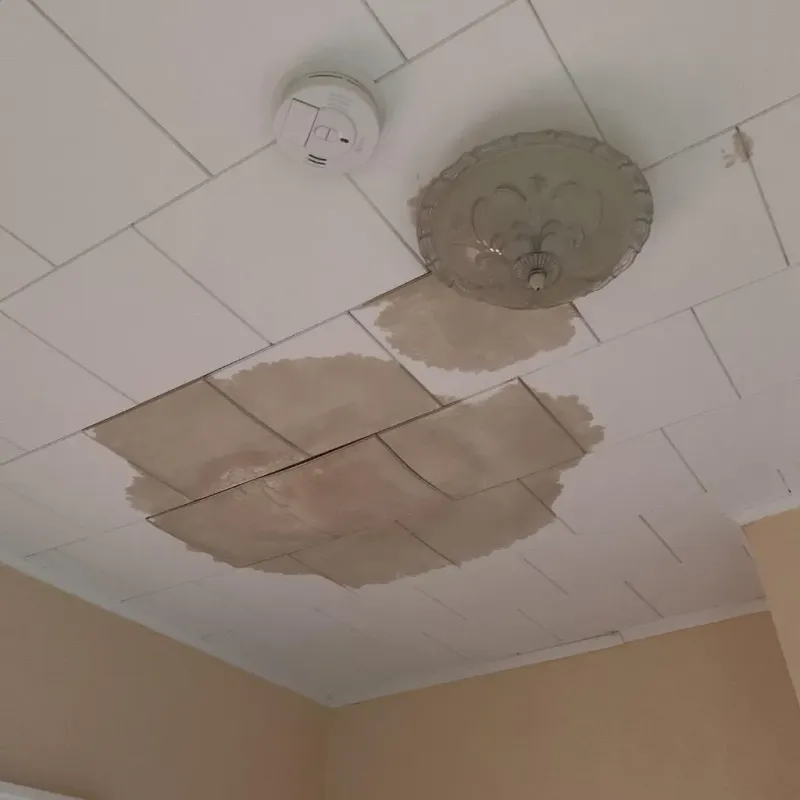 Ceiling Water Damage Repair in Scotts Mill, NC