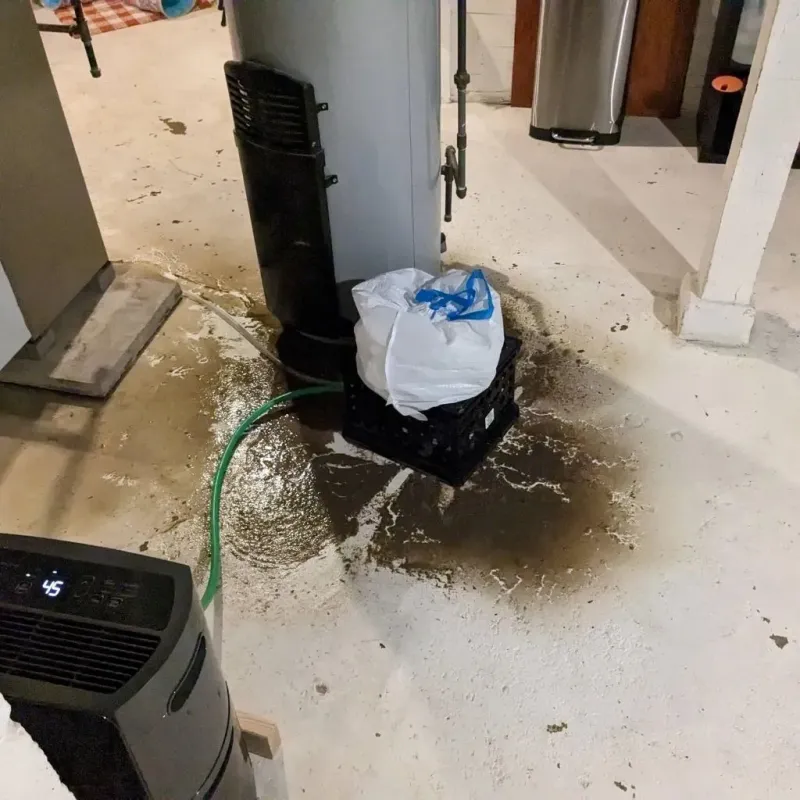Sewage Backup Cleanup Service in Scotts Mill, NC